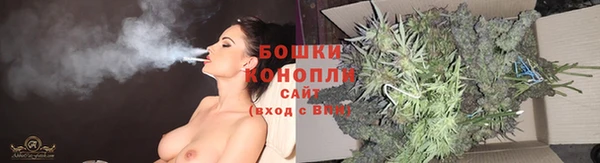 прущие грибы Балахна