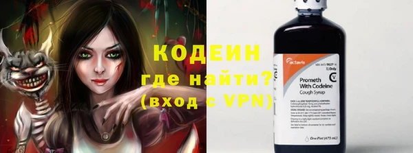 прущие грибы Балахна