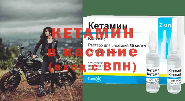 прущие грибы Балахна